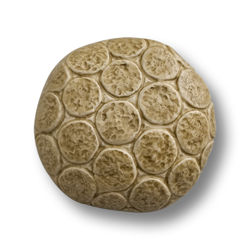www.knopfparadies.de - 6115be - Beige Kunststoffknöpfe, fast wie Lederknöpfe