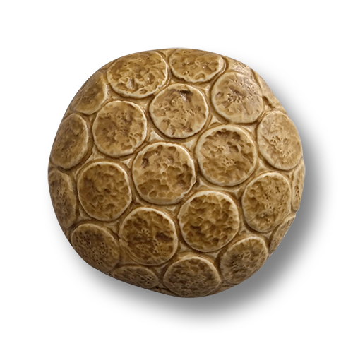 www.knopfparadies.de - 6115be - Beige bis hellbraune Kunststoffknöpfe, fast wie Lederknöpfe