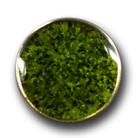 www.knopfparadies.de - 3810gr - Schimmernde grün goldene Kunststoffknöpfe in Metalloptik