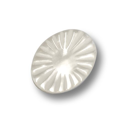 www.knopfparadies.de - 6060cr - Naturweiß schimmernde BLusenknöpfe, ovale Form