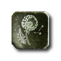 Schöne Metallknöpfe mit Pusteblume