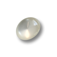 Hübsche, ovale, naturweiß schimmernde Blusenknöpfe - perfekt auch als Kinderknöpfe Hübsche, ovale, naturweiß schimmernde Blusenknöpfe - perfekt auch als Kinderknöpfe