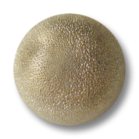 Glitzerknöpfe - www.Knopfparadies.de Glitzerknöpfe - www.Knopfparadies.de