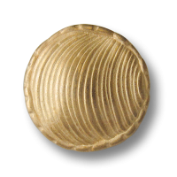 Ausgefallener strukturierter Knopf in Muschel Optik Ausgefallener strukturierter Knopf in Muschel Optik