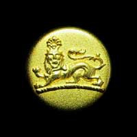Goldfarbene Knöpfe mit Löwenkopf